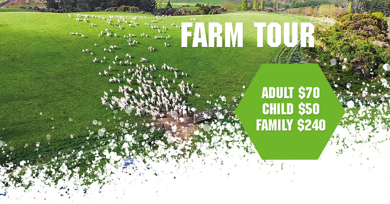Farm Tour