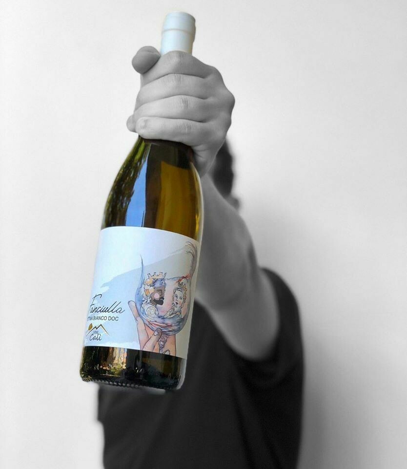 Vino ||  Wine