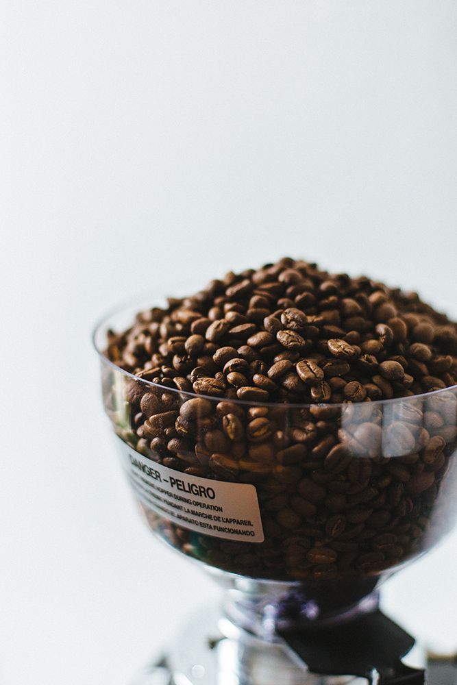 Locale Coffee Blend