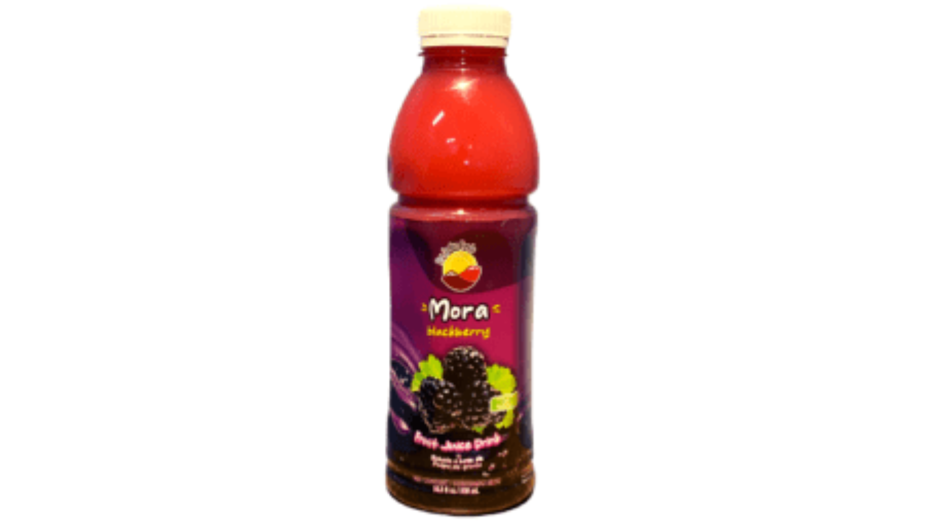 Nectar de Mora 500ml LOS ANDES FOODS