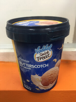 Vadilal Butter Scotch Ice Cream 500ml