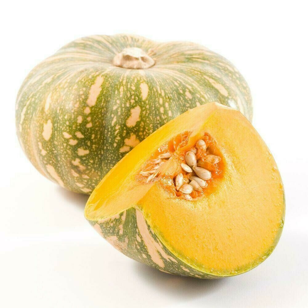 Pumpkin Yellow Fresh 1pc