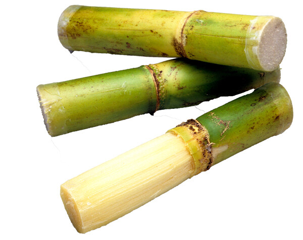 Sugarcane Fresh