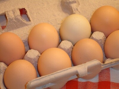 Eggs Tray 12pc
