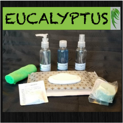 TROUSSE D'ESSAI NETTOYANTS EUCALYPTUS - PETIT TROUSSE D'ESSAI NETTOYANTS EUCALYPTUS - PETIT