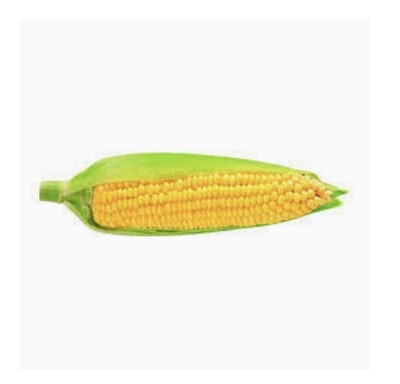 *CORN (4 EACH) Local When Available*