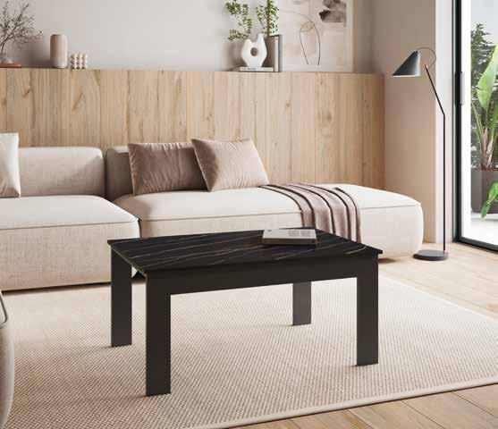 MESA DE CENTRO ELEVABLE