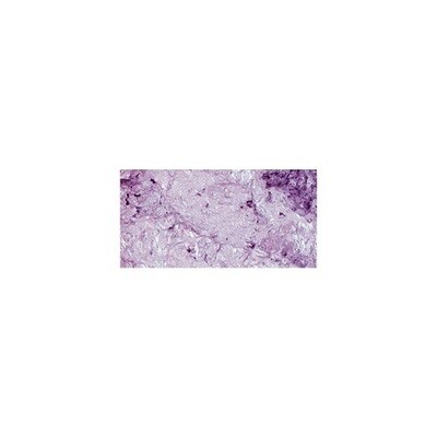 Nuvo - Embellishment Mousse - Lilac Lavender