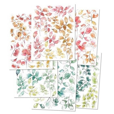 49 &amp; Market - Spectrum Sherbet Collection - Leaves - Rub On Transfers - 6" x 8" - SS36394 - 6 sheets