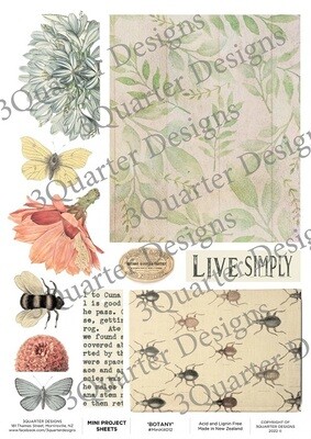 3 Quarter Designs - Mini Project Sheets - Botany - #12