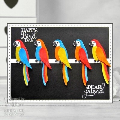 Creative Expressions &amp; Sue Wilson - Necessities Die - Parrot - CED23052 - 9 pcs