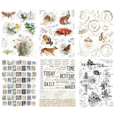 49 &amp; Market - Curators Meadow Collection - 6" x 8" Rub On Transfers - 6 Sheets - CM36691