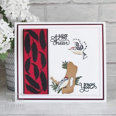 Creative Expressions &amp; Sue Wilson - Necessities Die - Woodpecker - CED23053 - 5 pcs