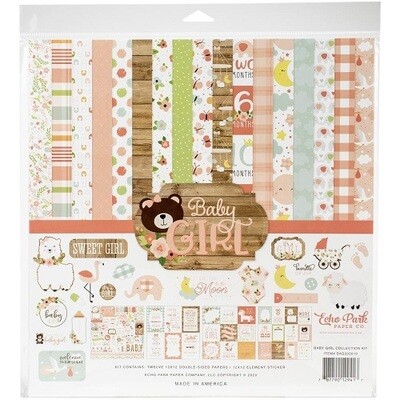 Echo Park Paper Co - Baby Girl Collection - 12 x 12 Paper pack - AG202016