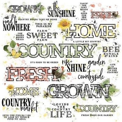 49 &amp; Market - Vintage Artistry - Countryside Collection - 12 x 12 Rub On Transfer - Sentiments - VAC38749