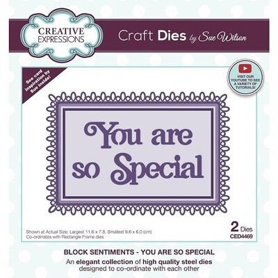 Creative Expressions - Craft Dies by Sue Wilson - You Are So Special - CED4469 - 2pcs