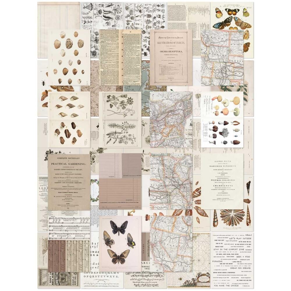 49 &amp; Market - Colour Swatch: Toast - Collage Sheets - CST41176- 40 pcs