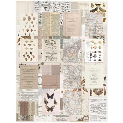 49 &amp; Market - Colour Swatch: Toast - Collage Sheets - CST41176- 40 pcs