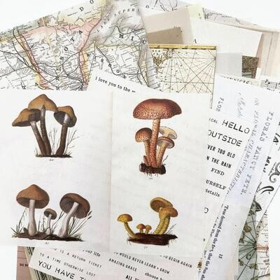 49 &amp; Market - Colour Swatch: Toast - Collage Sheets - CST41176- 40 pcs