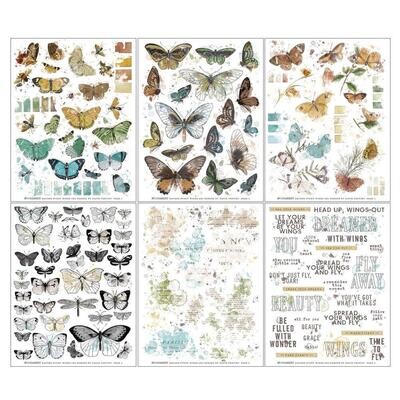 49 &amp; Market - Vintage Artistry - Nature Study Collection - Wings - Rub On Transfers - 6" x 8" - 49NS 23299 - 6 sheets
