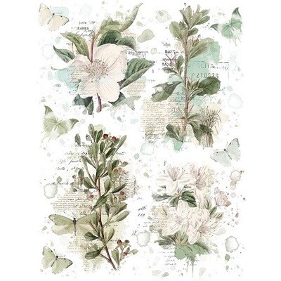 49 &amp; Market - Essentials - Blendables 01 - Rub On Transfers - 6" x 8" - VB37506 - 2 Sheets
