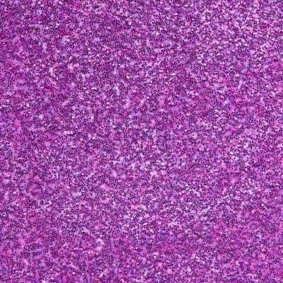 WOW - Embossing Glitter Powder - Hibiscus - Tracy Scott -  WS325R- 15ml / 1.oz