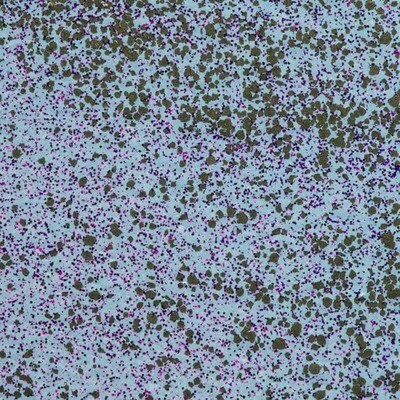 WOW - Embossing Glitter Powder - Golden Blue - Sara Naumann -  WS345X- 15ml / 1.oz