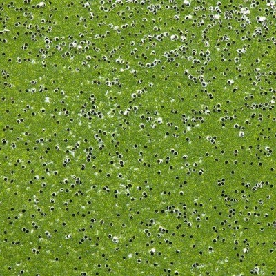 WOW - Embossing Glitter Powder - Palm - Tracy Scott -  WS326R- 15ml / 1.oz