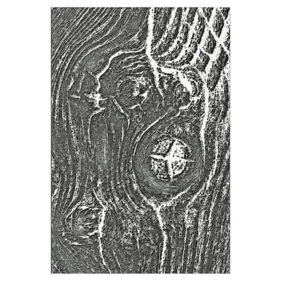 Sizzix &amp; Tim Holtz - 3D - Texture Fades - Woodgrain Embossing Folder - 666297