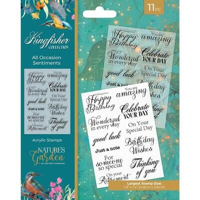 Crafters Companion - Kingfisher Collection - Clear Polymer Stamp  - All Occasion Sentiments - FCASTAOS