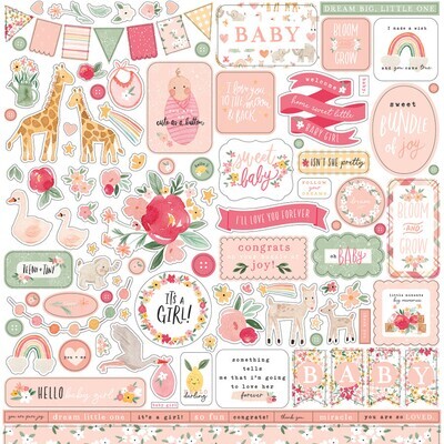 Echo Park Paper Co -Welcome  Baby Girl Collection - 12 x 12 Paper Pack - WBB233016 - 12 sheets + 12 x 12 sticker sheet