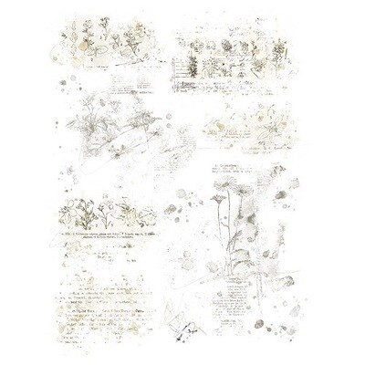49 &amp; Market - Essentials - Textbook Blends 01 - Rub On Transfers - 6" x 8" - VB37513 - 2 Sheets