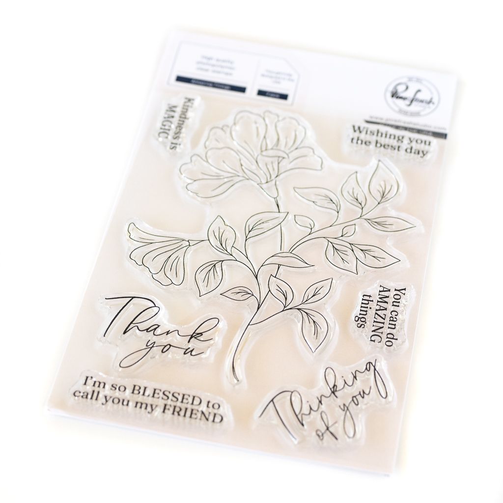 PinkFresh Studio - Delightful Collection - Amazing Things - Photopolymer Clear Stamp - 243924 - 4&quot; x 6&quot; - 7pcs