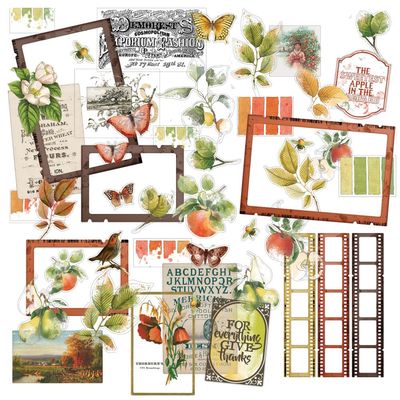 49 &amp; Market - Vintage Orchard Collection - Assorted Acetate Set - VO 28904 - 48 pcs