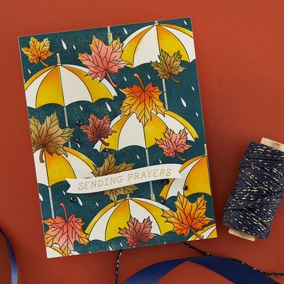 Spellbinders Paper Arts - Betterpress - Bundle - Autumn Rain and Stencil Bundle - BD-0897