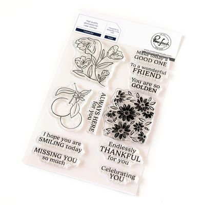 PinkFresh Studio - Kindness In Bloom Collection - Framed Art - Clear Polymer Stamp Set - 4&quot; x  6&quot; - 246324 - 11 pcs