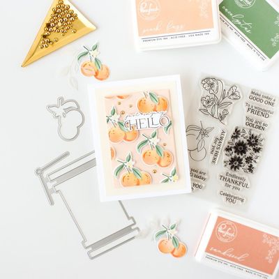 PinkFresh Studio - Kindness In Bloom Collection - Framed Art - Clear Polymer Stamp Set - 4" x  6" - 246324 - 11 pcs
