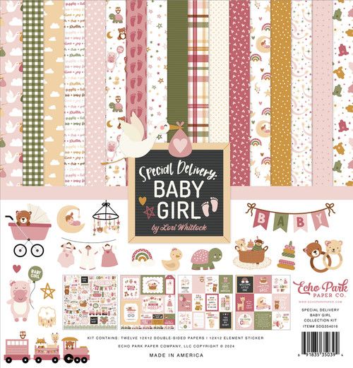 Echo Park Paper Co - Special Delivery Baby Girl - SDG354016 - 12 Sheets