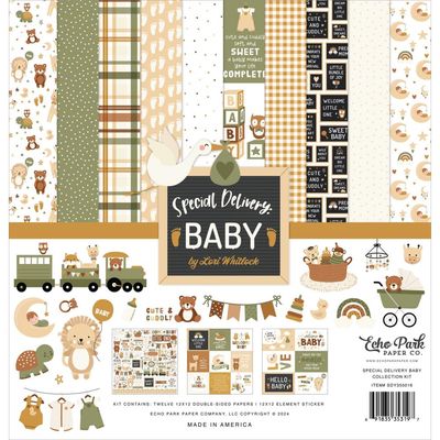 Echo Park Paper Co - Special Delivery Baby Collection - 12 x 12 Paper Pack - SDY355016 - 12 Sheets plus stickers