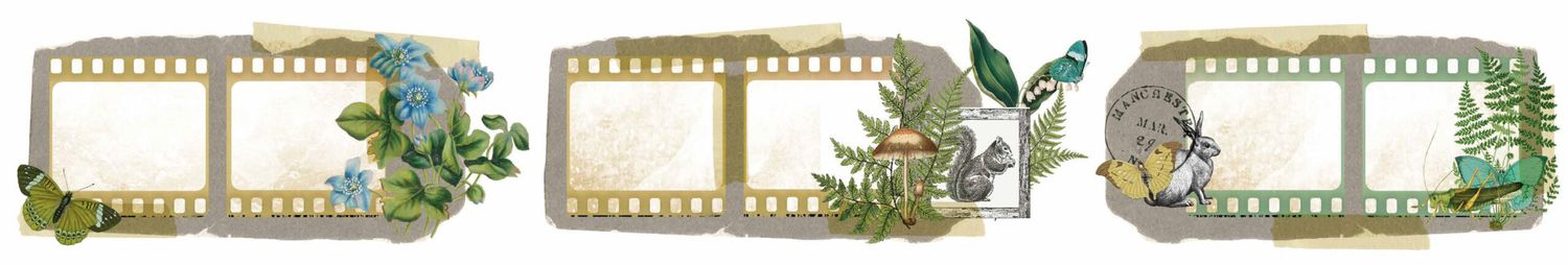 Arden Creative Studio - Hidden Creek Collection - Designed By Katie Pertiet - Filmstrip Kiss-Cut Pet Tape - 5cm x 5 mtrs