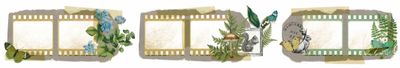 Arden Creative Studio - Hidden Creek Collection - Designed By Katie Pertiet - Filmstrip Kiss-Cut Pet Tape - 5cm x 5 mtrs
