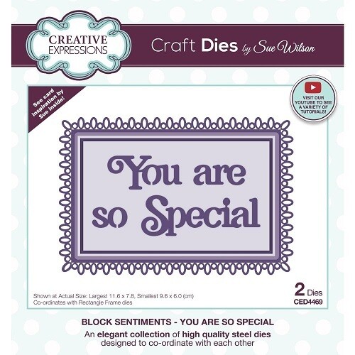 Creative Expressions &amp; Sue Wilson - Block Sentiment Die - You Are So Special - CED4469 - 2pcs