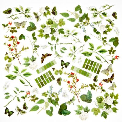 49 &amp; Market - Color Swatch - Willow Collection - Acetate Assortment - WCS28010 - 60pcs.