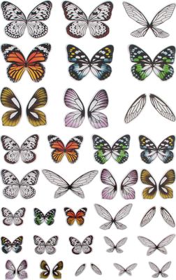 Tim Holtz - idea-ology - Transparent Wings - TH93785 - 72 pcs