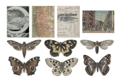 Tim Holtz - idea-ology- Transparent Things - TH94241 - 10 pcs