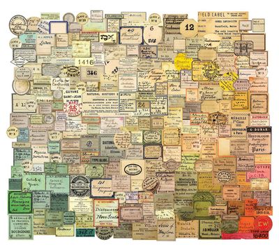 Tim Holtz - idea-ology - Snippets - Ephemera - Curator Pack - TH94152 - 233 pcs