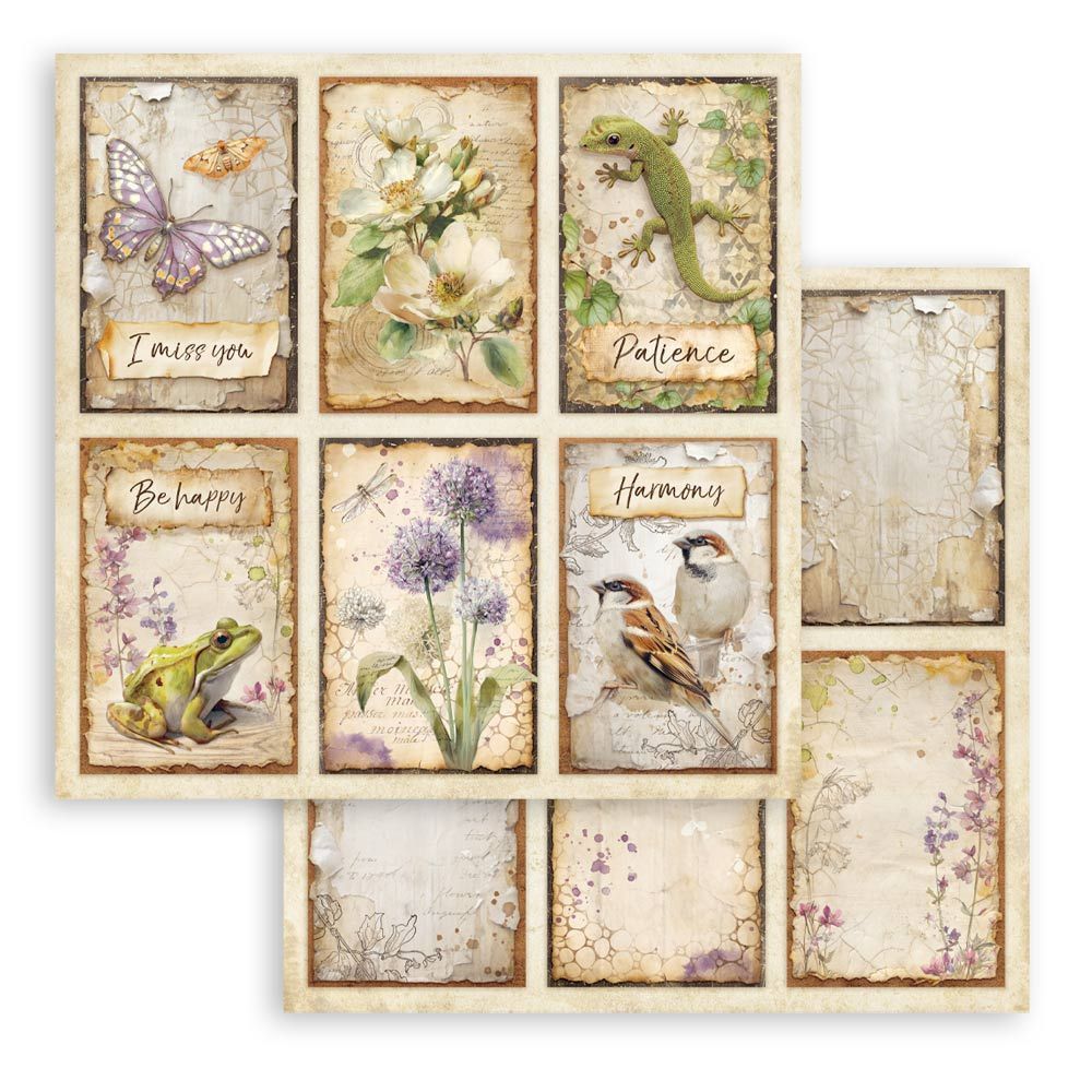 Stamperia - All Around Collection - Single Sheet - 6 Cards - 12" x 12" - SBB1149