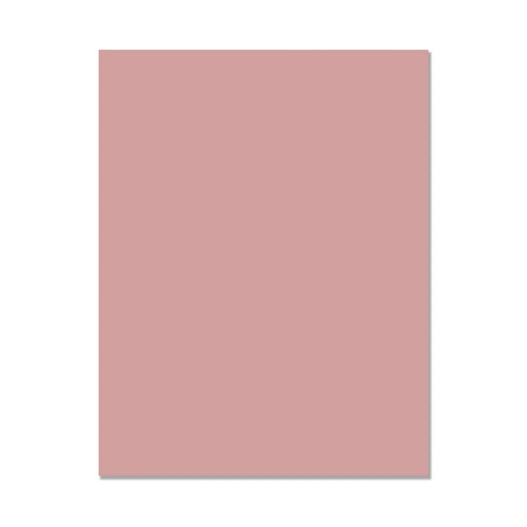 Spellbinders Paper Arts &amp; Hero Arts - Smooth Cardstock - 8.5" x 11" - PS335