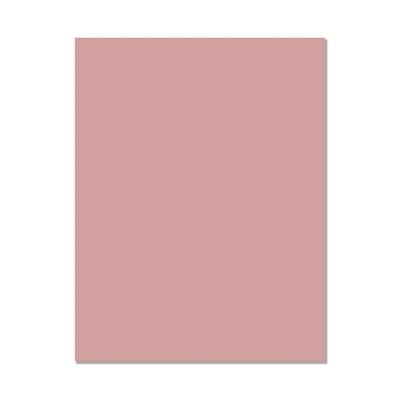 Spellbinders Paper Arts &amp; Hero Arts - Smooth Cardstock - 8.5" x 11" - PS335