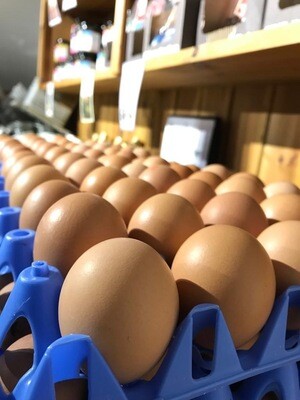 Organic Hens Eggs